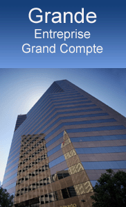 Pour les grandes entreprises